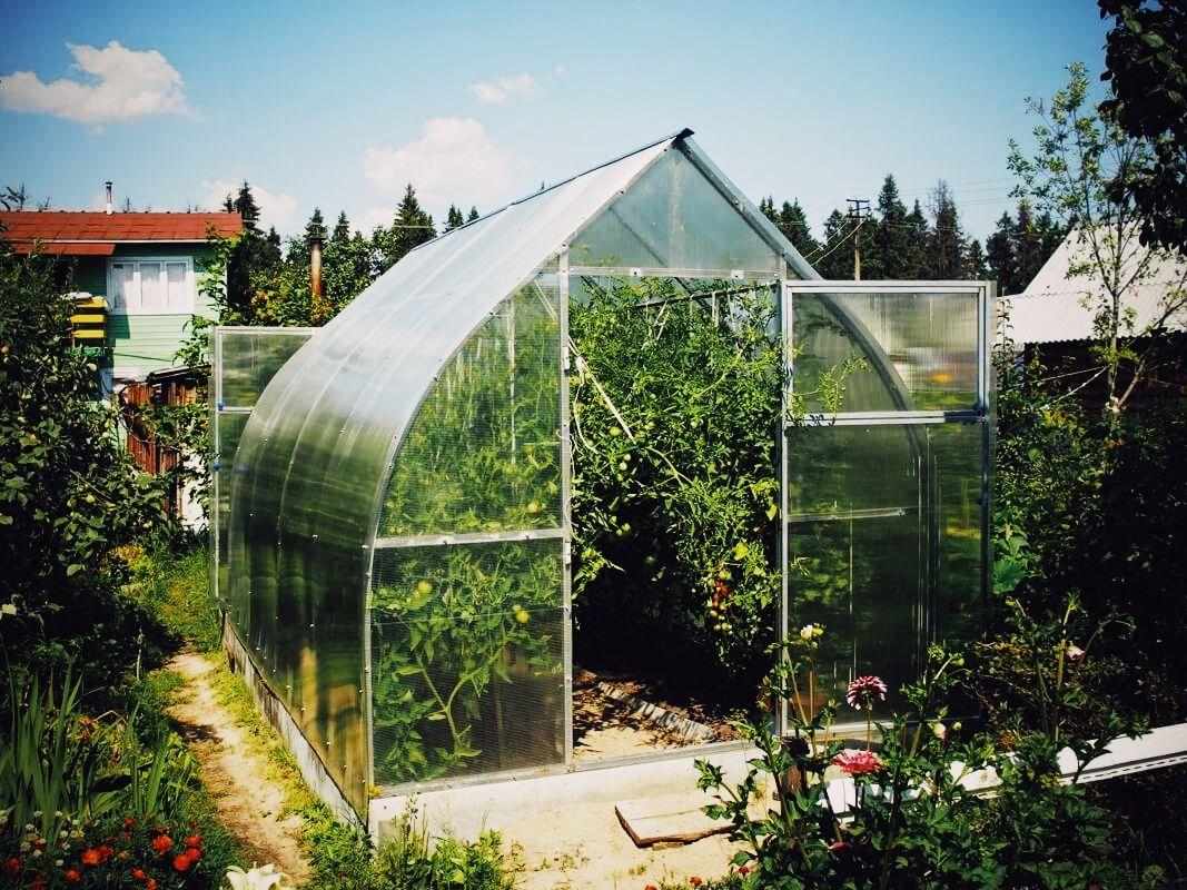 Фотография продукта